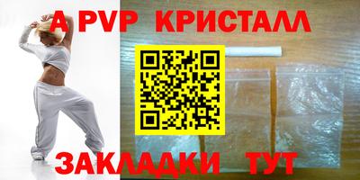 гашик Будённовск