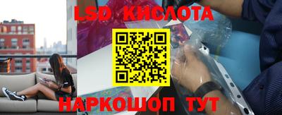 гашик Будённовск