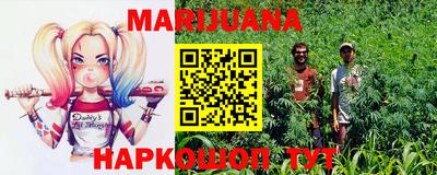 гашик Будённовск