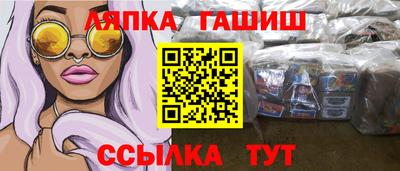 гашик Будённовск