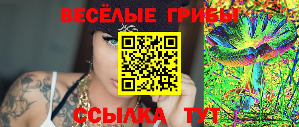 Псилоцибиновые грибы прущие грибы Петропавловск-Камчатский