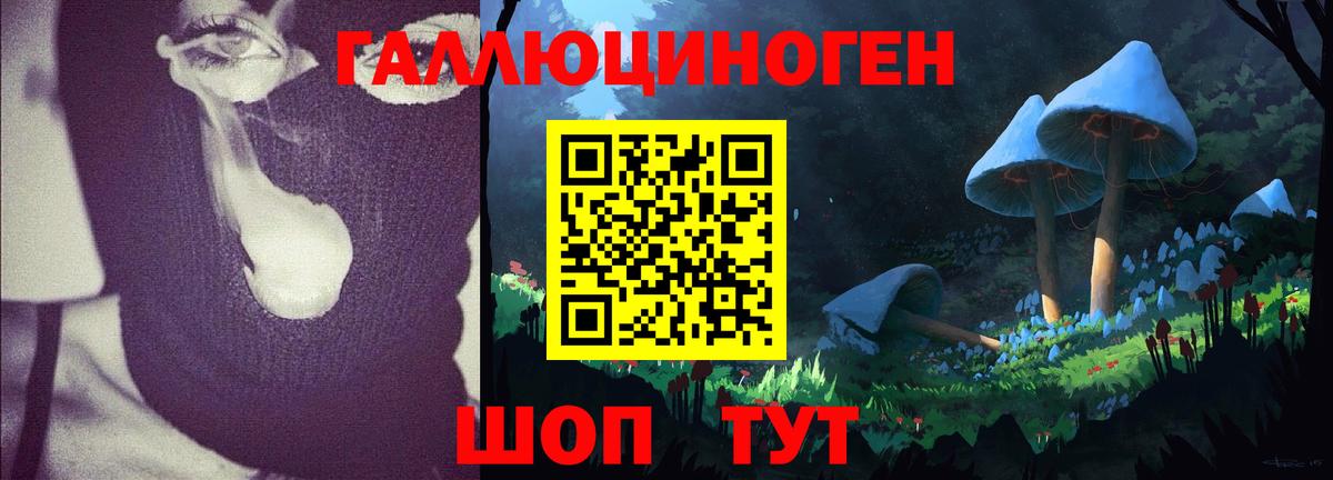 Псилоцибиновые грибы ЛСД  Вход с VPN  Псилоцибиновые грибы мицелий  Петропавловск-Камчатский 